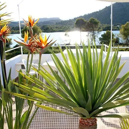 Beach Inn Apartment Alcudia  Exterior photo